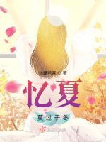 忆夏莫过于冬