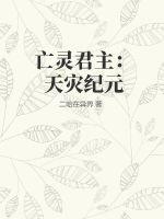 亡灵君主：天灾纪元