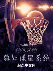 NBA之暮年球星系统