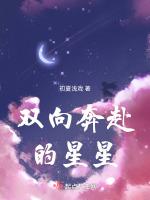 双向奔赴的星星