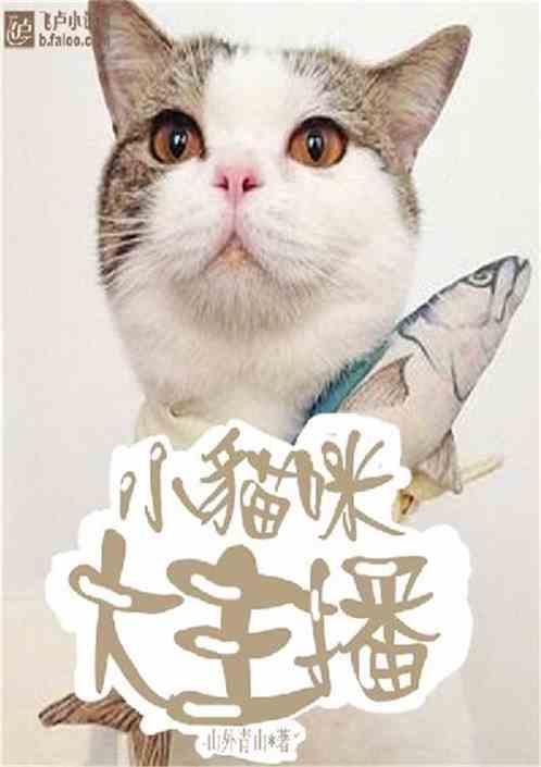 小猫咪大主播