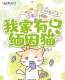 我家有只缅因猫