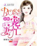 奈何BOSS宠妻忙